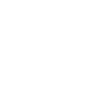 Ariel